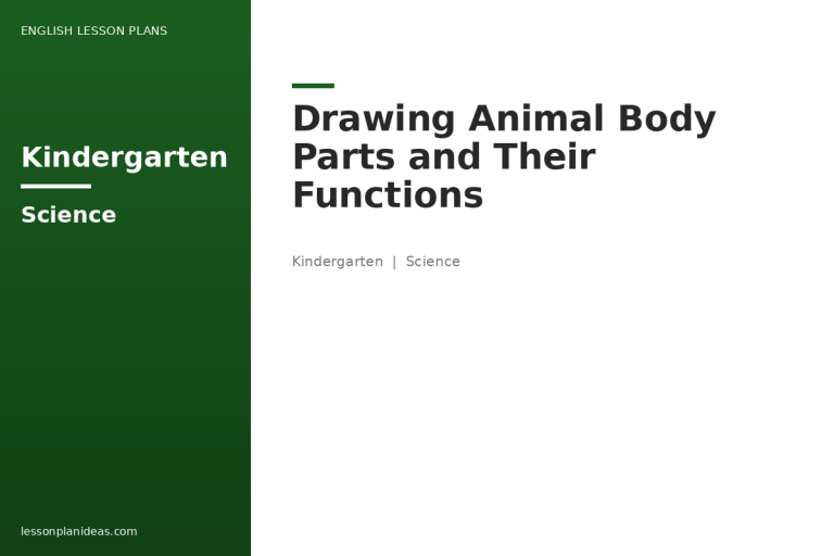 Drawing Animal Body Parts and Their Functions