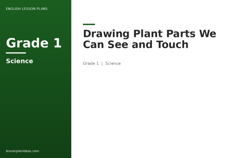 Drawing Plant Parts We Can See and Touch