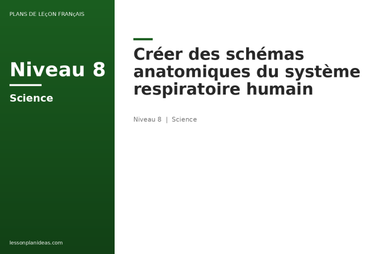 Créer des schémas anatomiques du système respiratoire humain