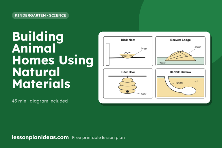Building Animal Homes Using Natural Materials – Kindergarten Science lesson plan