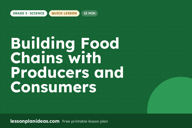 Building Food Chains with Producers and Consumers – Grade 3 Science lesson plan