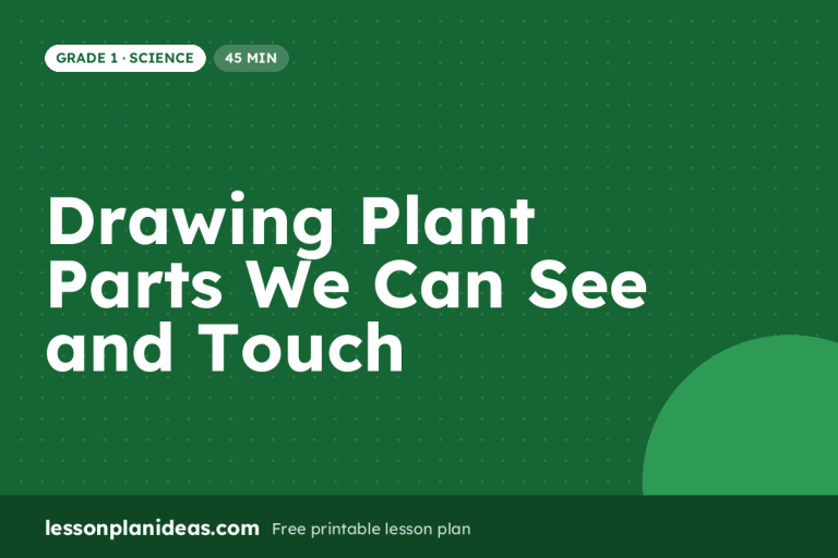 Drawing Plant Parts We Can See and Touch – Grade 1 Science lesson plan